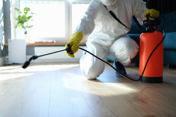 Reliable Biohazard Cleanup contractor in Temple Hills, MD by Dulley Family Biohazard Services